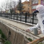 Belediyemiz, karasinek ve sivrisineklere göz açtırmıyor