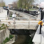 Belediyemiz, karasinek ve sivrisineklere göz açtırmıyor