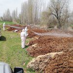 Belediyemiz, karasinek ve sivrisineklere göz açtırmıyor