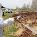 Belediyemiz, karasinek ve sivrisineklere göz açtırmıyor