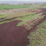 Belediyemiz, karasinek ve sivrisineklere göz açtırmıyor