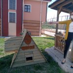 Sokağımızın kedileri güvenli ellerde