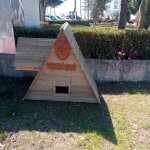 Sokağımızın kedileri güvenli ellerde