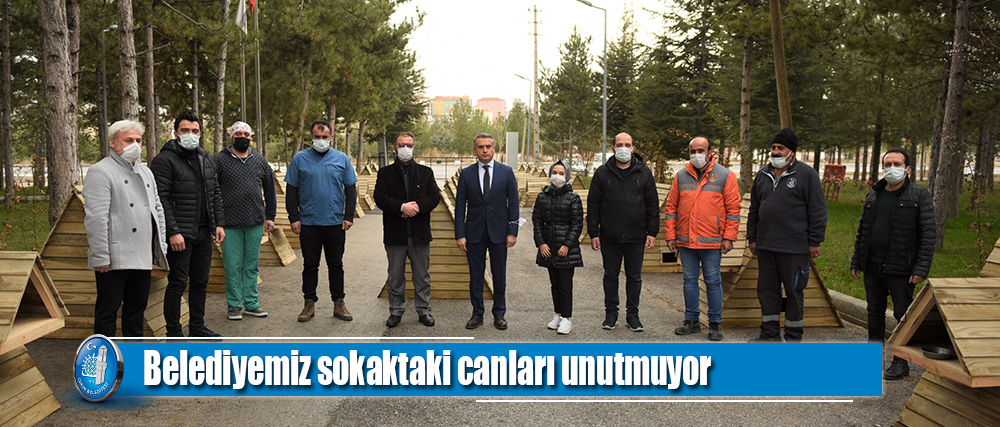 Belediye’den sokaktaki canlar için 38 kedi evi