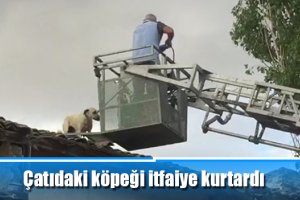 Çatıdaki köpeği itfaiye kurtardı