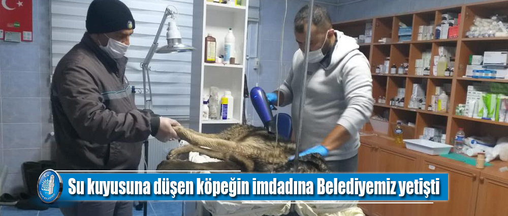 Su kuyusuna düşen köpeğin imdadına Belediyemiz yetişti
