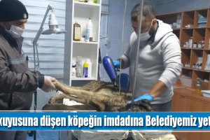 Su kuyusuna düşen köpeğin imdadına Belediyemiz yetişti
