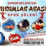 3. Kurumlar Arası Spor Şölenine yoğun ilgi