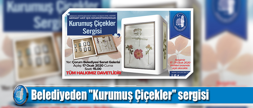 Belediyeden "Kurumuş Çiçekler" sergisi