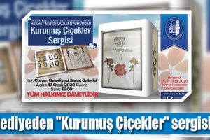 Belediyeden "Kurumuş Çiçekler" sergisi