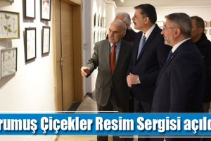 Kurumuş Çiçekler Sergisi açıldı
