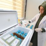 Belediyemiz'den bakteri açıklaması