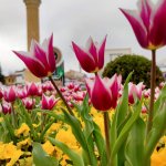 Fotoğraf yarışması için son gün 29 Nisan Perşembe