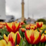 “Çorum’da Bahar” fotoğraf yarışması