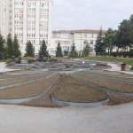 160 bin lale ve sümbül toprakla buluşuyor