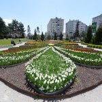 Belediyemiz, Çorum’u 150 bin lale ve sümbülle donatıyor