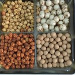 Leblebiyle gönüller yapmak