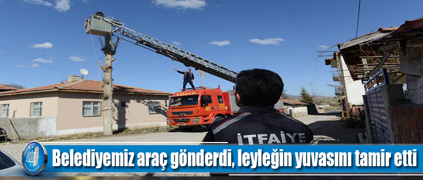 Belediyemiz araç gönderdi, leyleğin yuvasını tamir etti