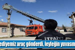 Belediyemiz araç gönderdi, leyleğin yuvasını tamir etti