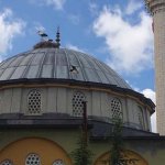 Yavru leyleğin imdadına itfaiye ekipleri koştu