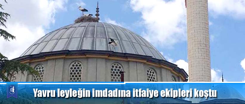 Yavru leyleğin imdadına itfaiye ekipleri koştu