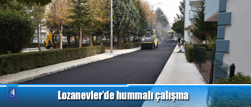Lozanevler’de hummalı çalışma