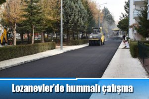 Lozanevler’de hummalı çalışma