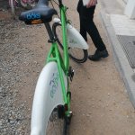 Çorbis’e zarar verenlere yasal işlem başlatılacak