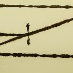 Fotoğraf ödülleri sahiplerini buldu