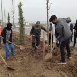 Belediyemiz Ekibinin Ağaçlandırma Çalışmasına Öğrencilerden Destek