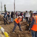 Belediyemiz Ekibinin Ağaçlandırma Çalışmasına Öğrencilerden Destek