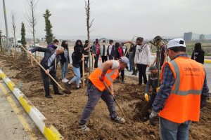Belediyemiz Ekibinin Ağaçlandırma Çalışmasına Öğrencilerden Destek