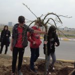 Belediyemiz Ekibinin Ağaçlandırma Çalışmasına Öğrencilerden Destek