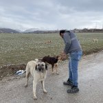 Belediyemiz sokak hayvanlarını unutmuyor