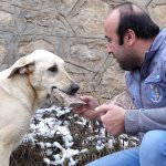 Belediyemiz sokak hayvanlarını unutmuyor