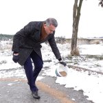 Belediyemiz sokak hayvanlarını unutmuyor