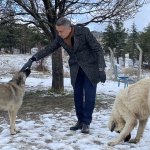 Belediyemiz sokak hayvanlarını unutmuyor