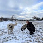 Belediyemiz sokak hayvanlarını unutmuyor