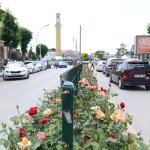 Çorum bayram öncesi çiçek açtı