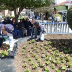 Çorum bayram öncesi çiçek açtı