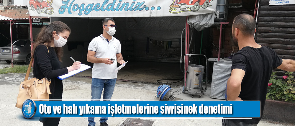 Oto ve halı yıkama işletmelerine sivrisinek denetimi