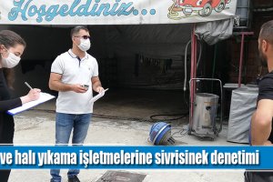 Oto ve halı yıkama işletmelerine sivrisinek denetimi