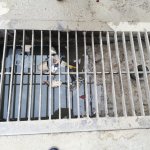 Oto ve halı yıkama işletmelerine sivrisinek denetimi