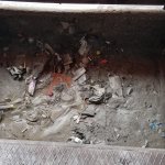 Oto ve halı yıkama işletmelerine sivrisinek denetimi