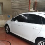 Oto ve halı yıkama işletmelerine sivrisinek denetimi