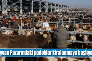 Hayvan Pazarındaki padoklar kiralanmaya başlıyor