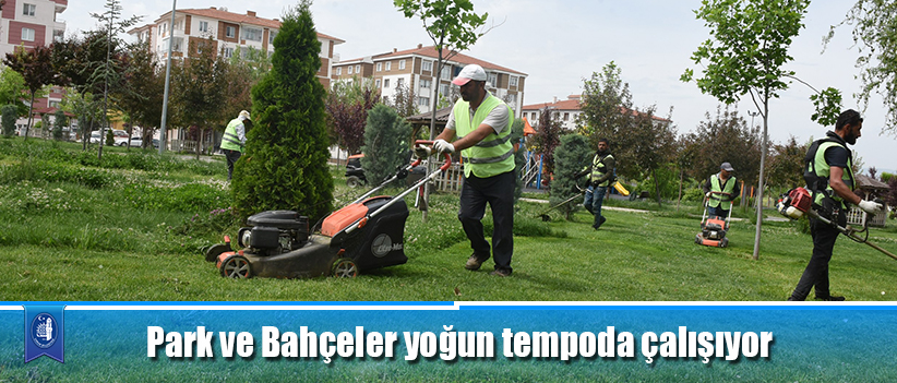 Park ve Bahçeler yoğun tempoda çalışıyor