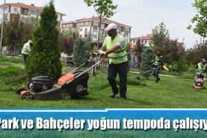 Park ve Bahçeler yoğun tempoda çalışıyor