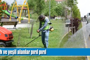 Park ve yeşil alanlar pırıl pırıl