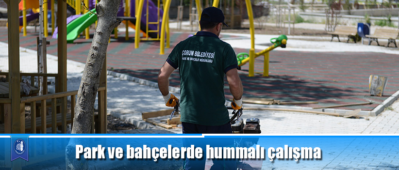 Park ve bahçelerde hummalı çalışma